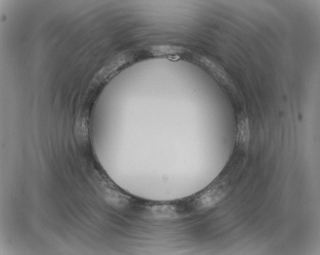 X0000081320426200701251813