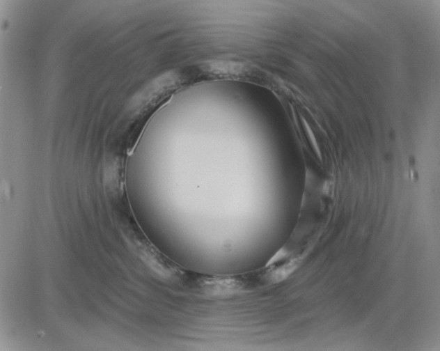 X0000081320428200701251813