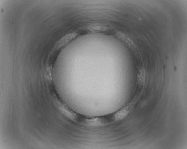 X0000081320430200701251813
