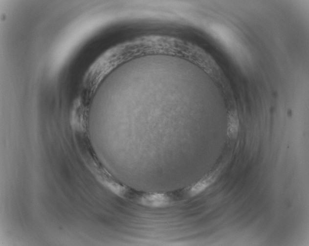 X0000081320431200701251813