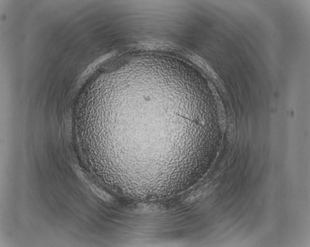 X0000081320442200701251812