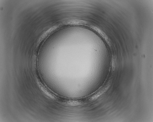 X0000081320445200701251812