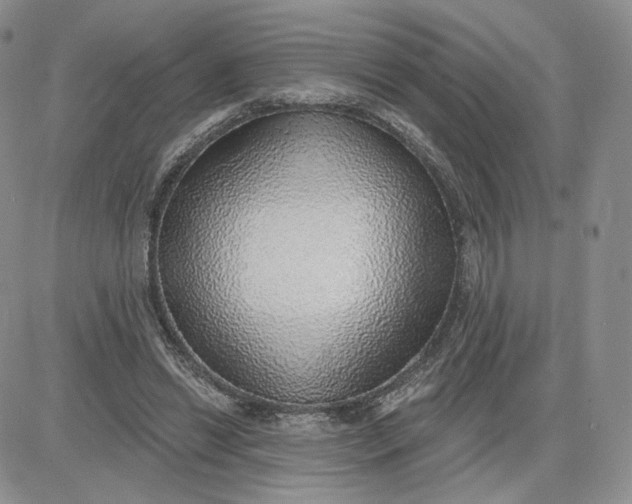 X0000081320446200701251812