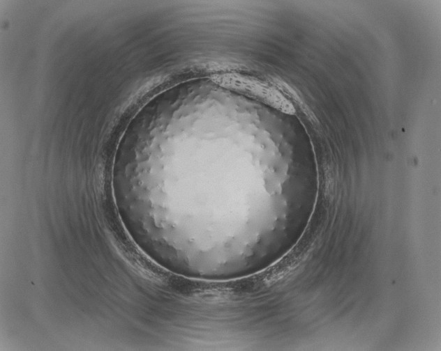 X0000081320447200701251812