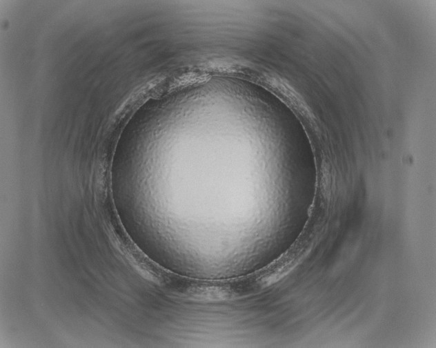 X0000081320449200701251812