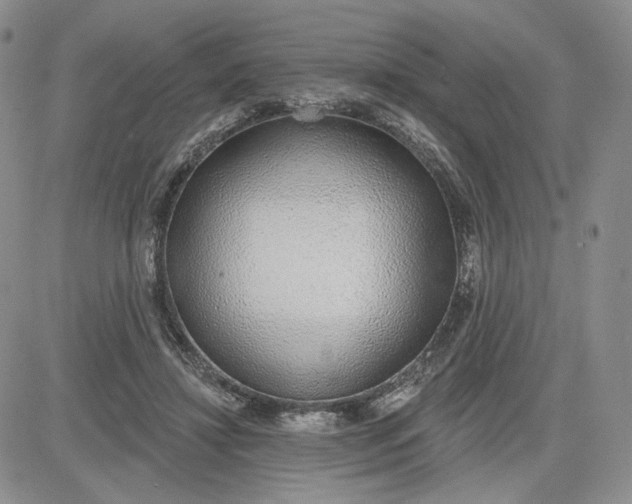 X0000081320452200701251812