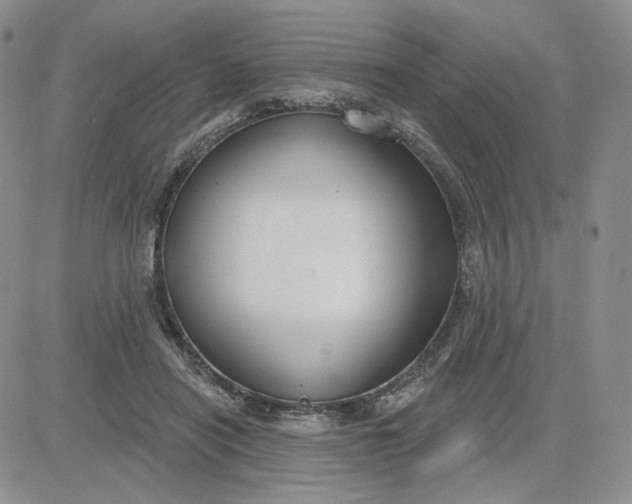 X0000081320454200701251812