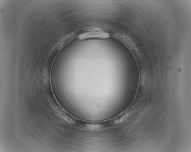 X0000081320457200701251812