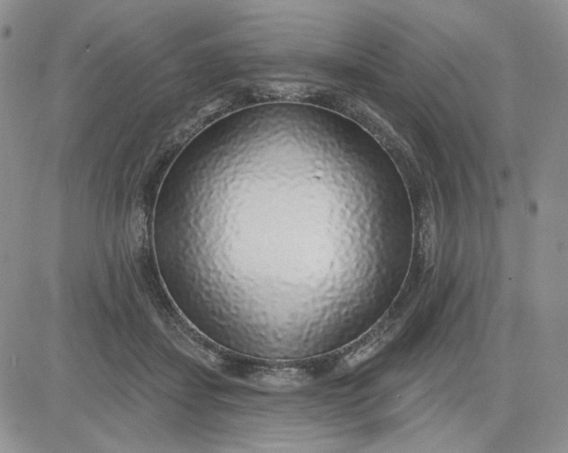 X0000081320459200701251812