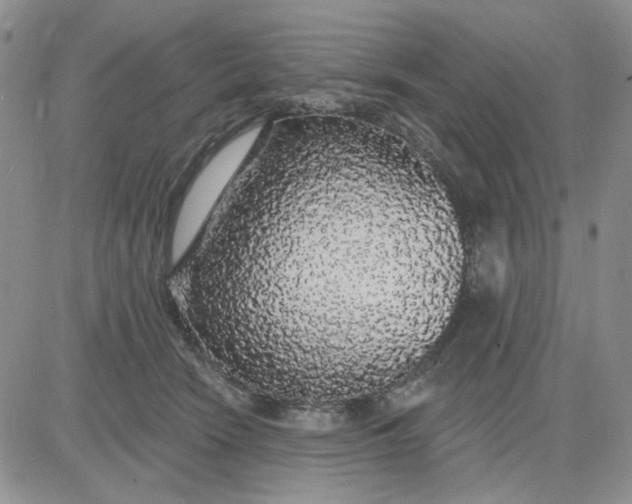 X0000081320466200701251812