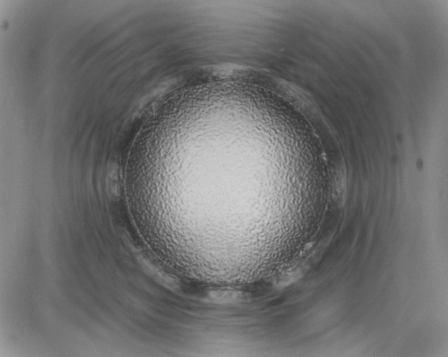 X0000081320470200701251812