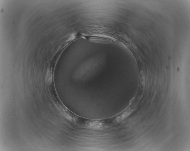 X0000081320471200701251812