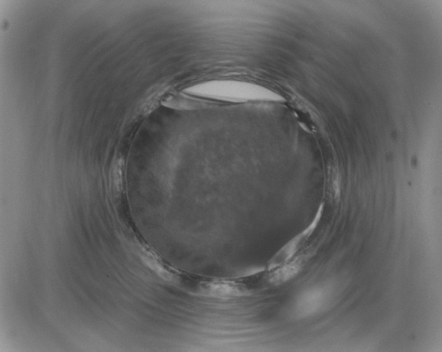 X0000081320475200701251812