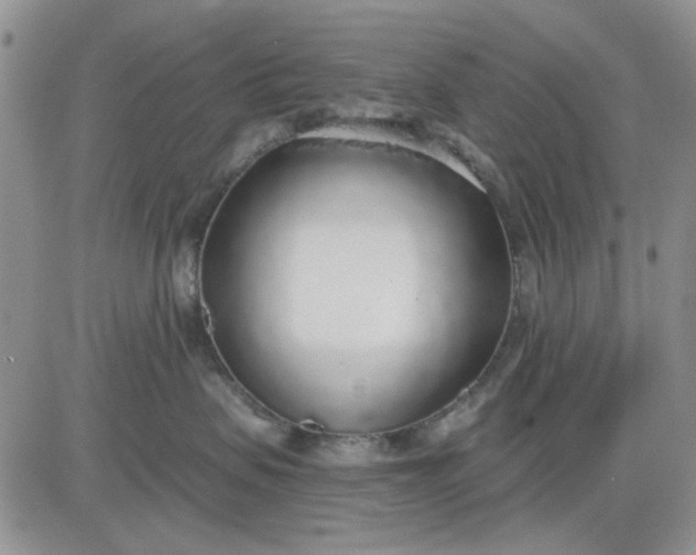 X0000081320479200701251813