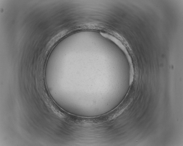 X0000081320481200701251812