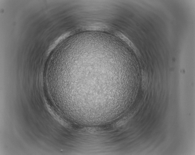 X0000081320482200701251812