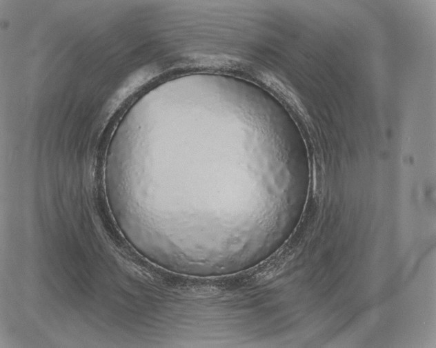 X0000081320483200701251812