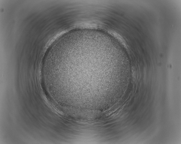 X0000081320487200701251812