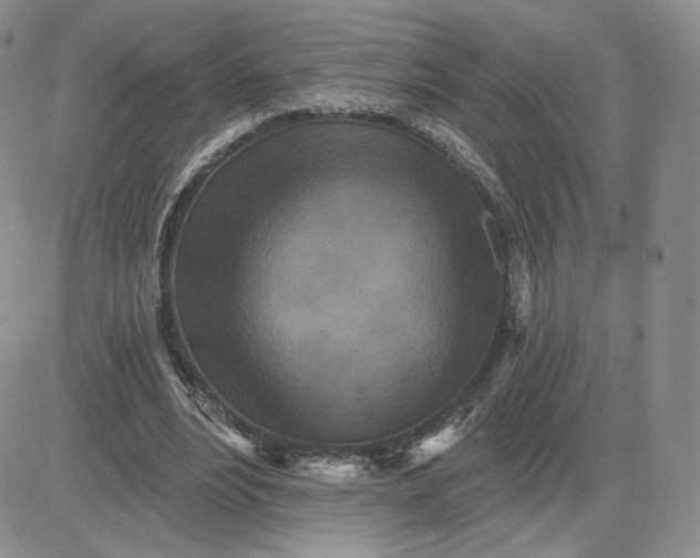 X0000081320488200701251812
