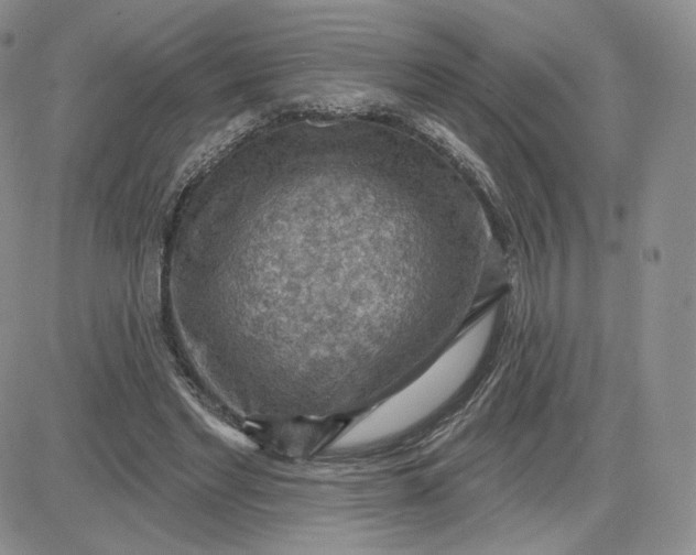 X0000081320493200701251812