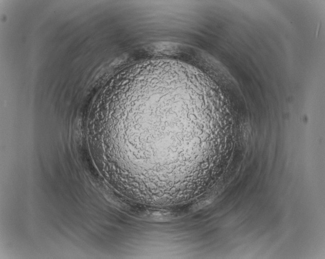 X0000081320506200701251811