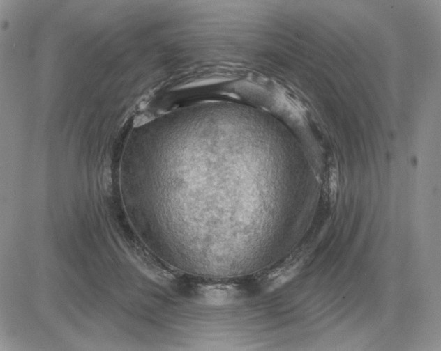 X0000081320508200701251811