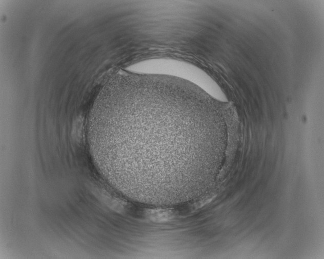 X0000081320511200701251811