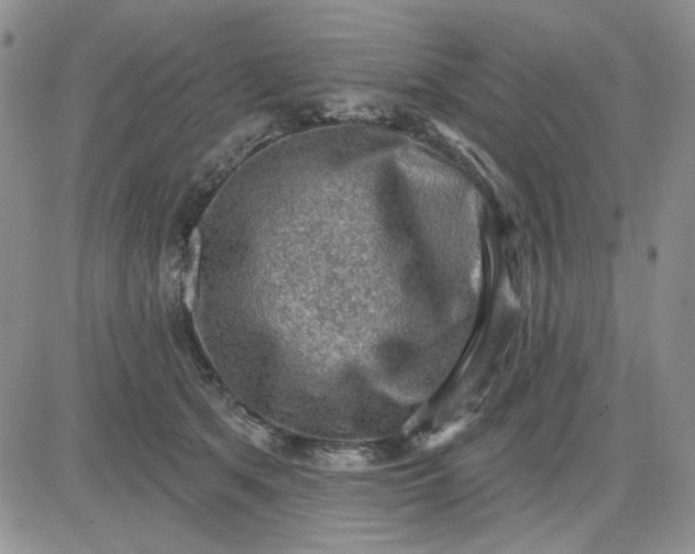 X0000081320513200701251811