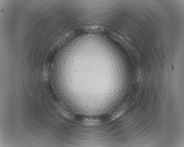 X0000081320515200701251811