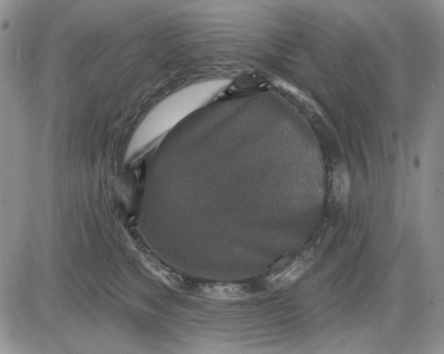 X0000081320517200701251811