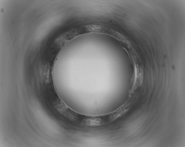 X0000081320525200701251811
