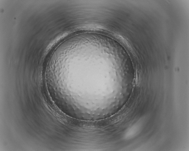 X0000081320531200701251810