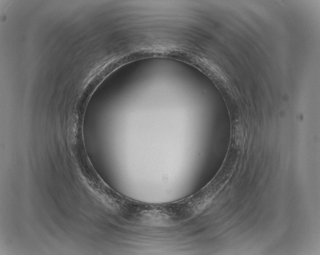 X0000081320544200701251810