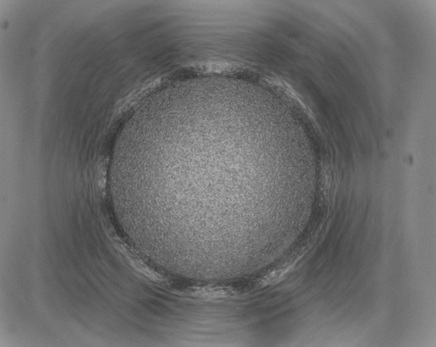 X0000081320545200701251810