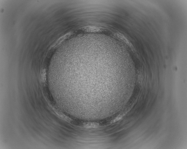 X0000081320549200701251811