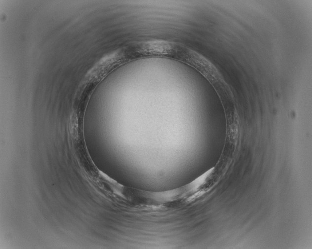 X0000081320552200701251811