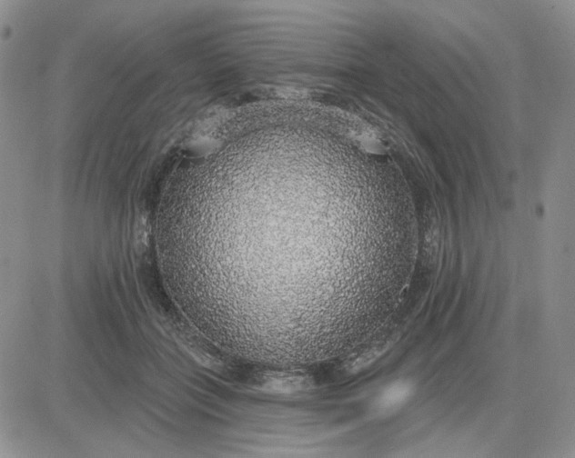 X0000081320555200701251811