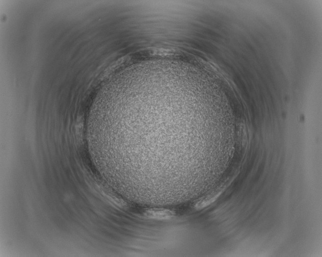 X0000081320557200701251811