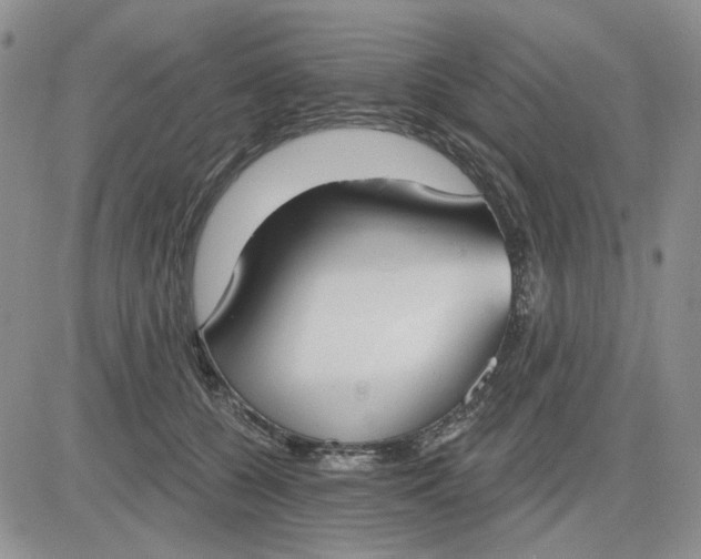 X0000081320560200701251811