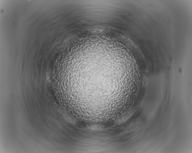 X0000081320561200701251811