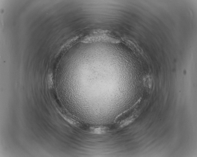 X0000081320564200701251811