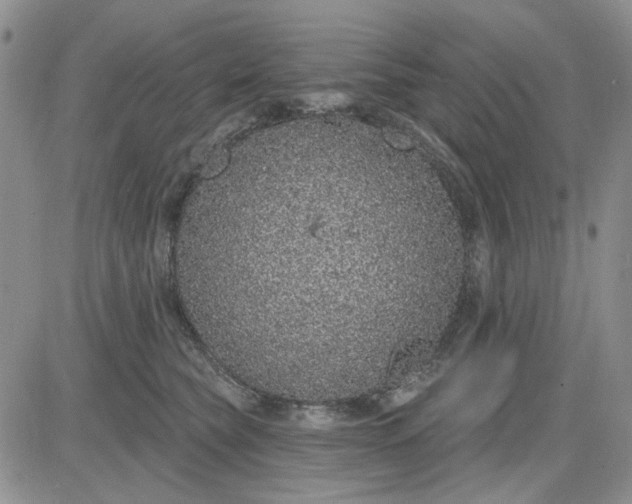 X0000081320565200701251811