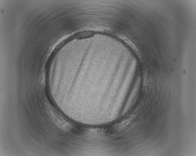 X0000081320584200701251810