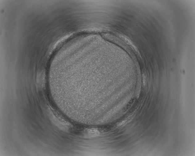 X0000081320588200701251810