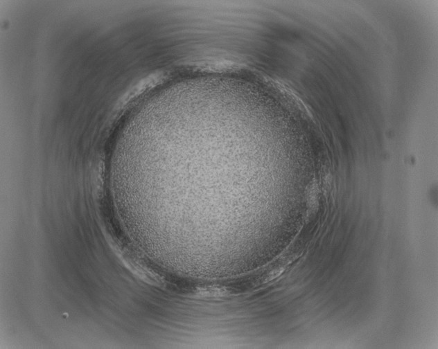 X0000081320591200701251810