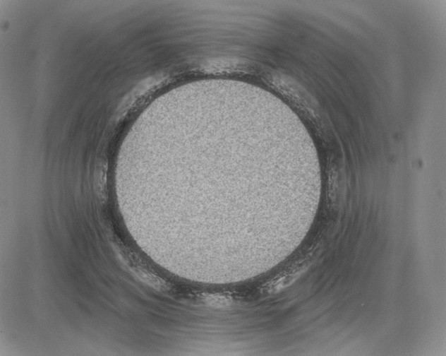 X0000081320592200701251810