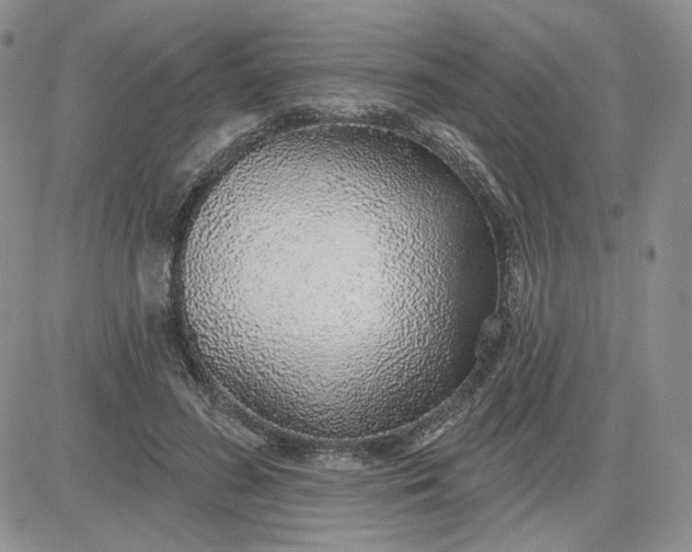 X0000081320596200701251810