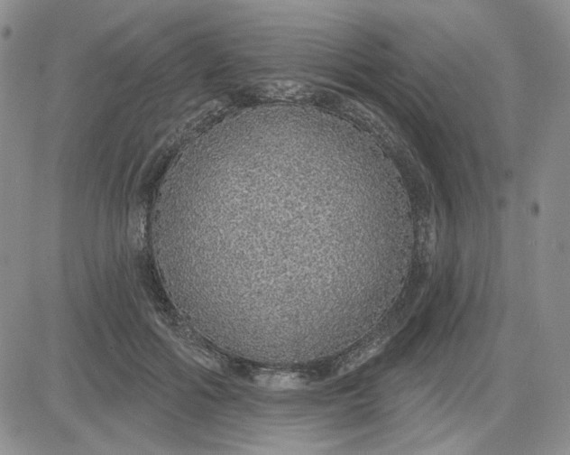 X0000081320602200701251810