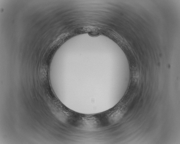 X0000081320603200701251810