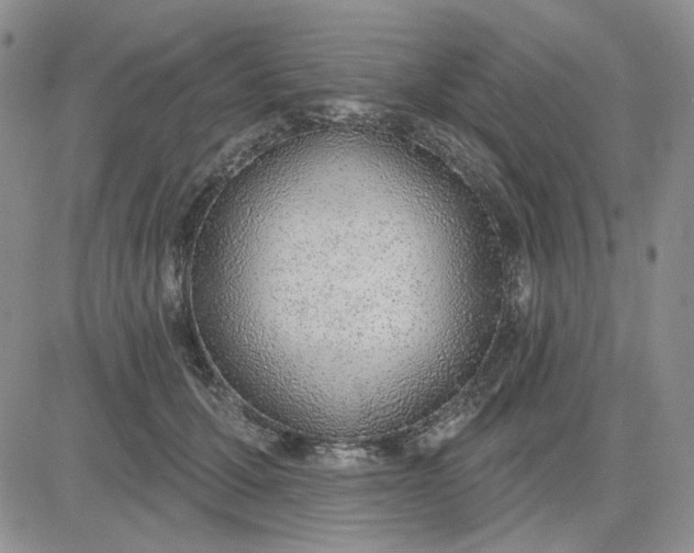 X0000081320607200701251810
